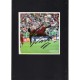 Signed colour picture of Nani the Manchester United football.